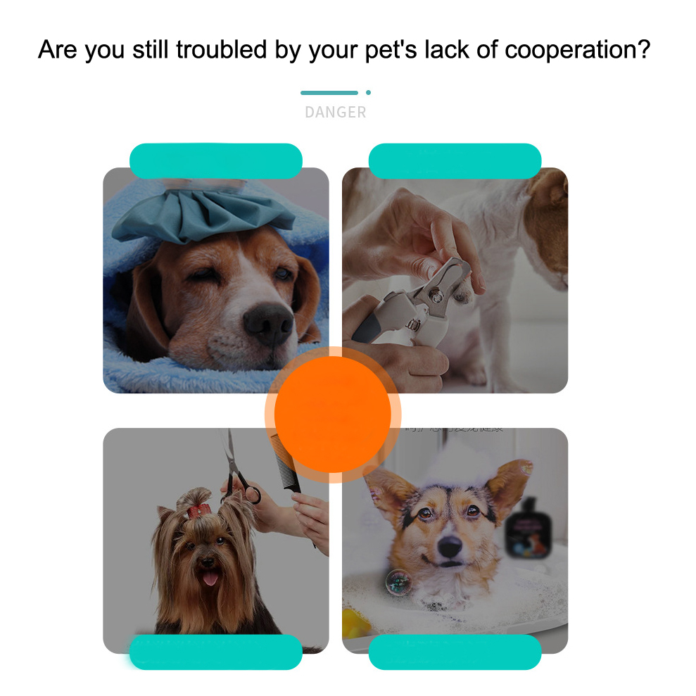 Dog Bowls8 Cuencos para perros8