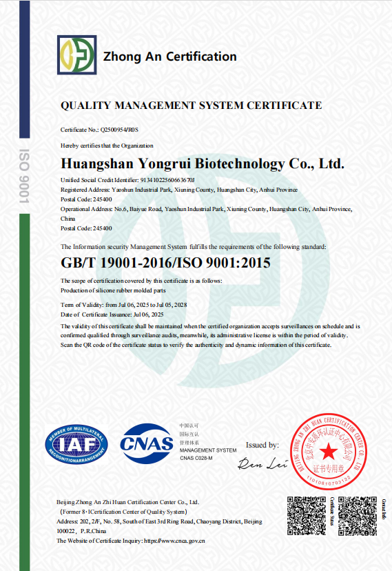 ISO 9001